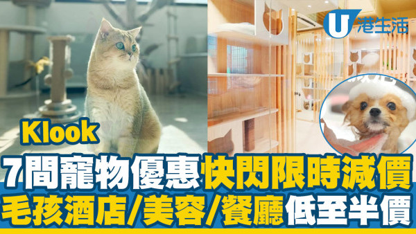 7間寵物優惠快閃限時減價　寵物酒店寄宿／寵物友善餐廳／毛孩美容低至半價！