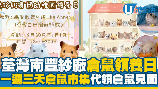 荃灣南豐紗廠倉鼠領養日　除夕一連三天倉鼠市集／代領倉鼠見面