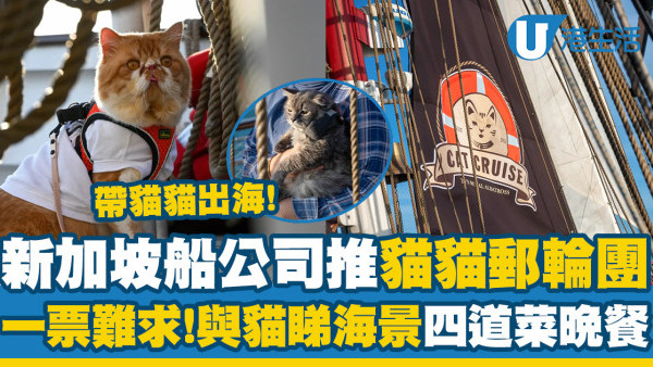帶貓出海！新加坡船公司推「貓貓郵輪團」　與貓睇海景嘆四道菜晚餐