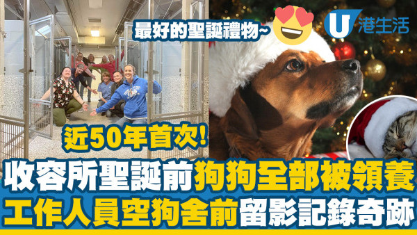 聖誕前動物收容所狗狗全數被領養　50年首次！工作人員空狗舍前留影記錄奇跡