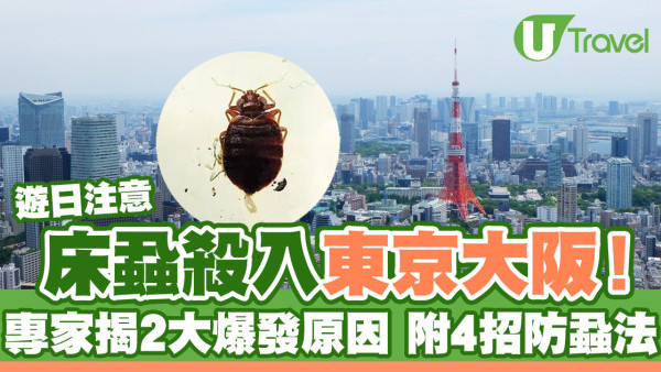 日本床蝨｜床蝨殺入東京大阪！專家揭2大爆發原因：牠們不懂冬眠了（附4招必學防蝨法）