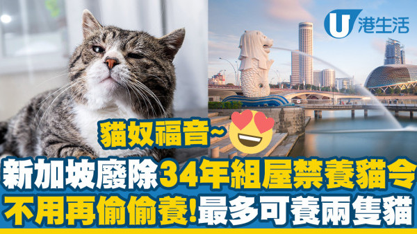 新加坡廢除34年組屋禁養貓令　貓奴福音！最多養兩隻貓