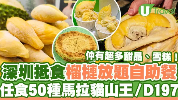 深圳美食｜深圳抵食榴槤放題自助餐  任食馬拉貓山王／D197榴槤甜品