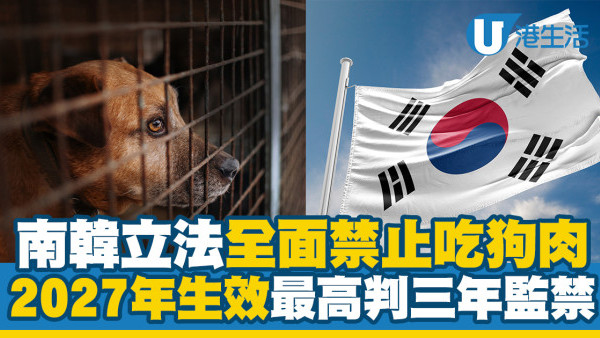 南韓立法全面禁止吃狗肉　2027年生效最高判三年監禁