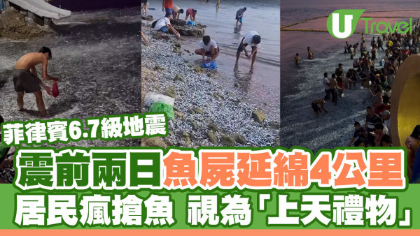菲律賓6.7級地震｜震前兩日魚屍延綿4公里！居民瘋搶魚 視為「上天禮物」