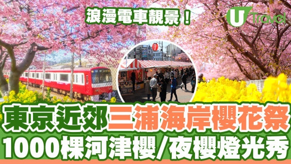 東京三浦海岸櫻花祭｜東京近郊櫻花景點三浦海岸櫻花祭  1000棵河津櫻花樹／夜櫻燈光秀