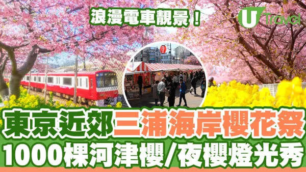 東京三浦海岸櫻花祭｜東京近郊櫻花景點三浦海岸櫻花祭  1000棵河津櫻花樹／夜櫻燈光秀