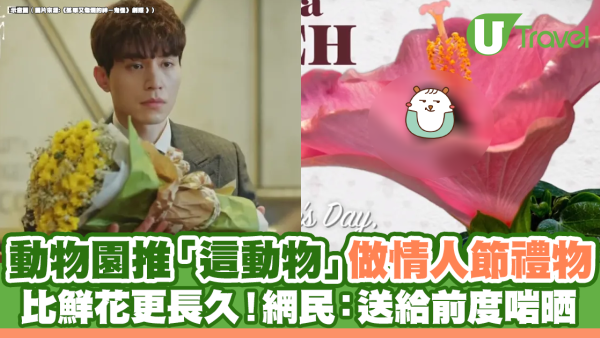 動物園推「這動物」做情人節禮物 比鮮花、朱古力更長久！網民：送給前度啱晒 
