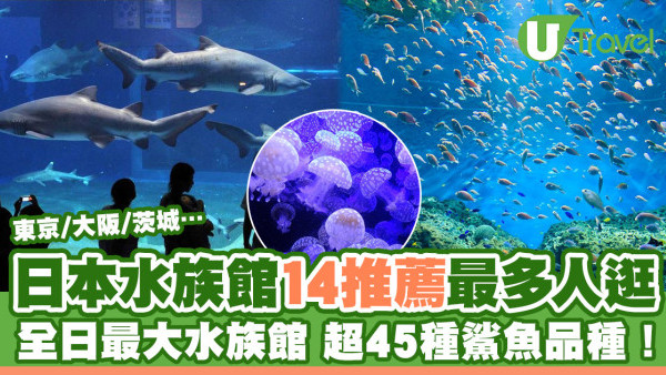 日本水族館2026｜14推薦最多人逛附票價比較 全日最大水族館近東京！ 