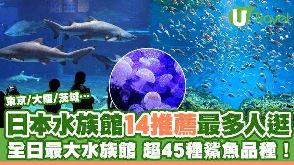 日本水族館2026｜14推薦最多人逛附票價比較 全日最大水族館近東京！