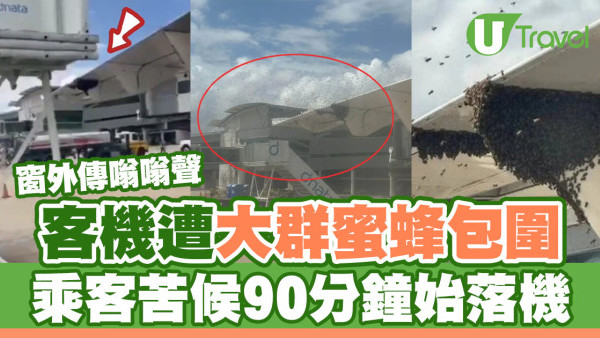 客機遭大群蜜蜂包圍！窗外傳嗡嗡聲 乘客苦候90分鐘始落機
