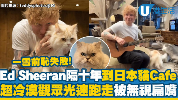 Ed Sheeran隔十年到日本貓Cafe　一雪前恥失敗！觀眾光速跑走被無視扁嘴