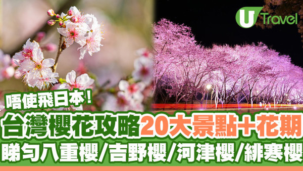 台灣櫻花2024｜盤點全台20大櫻花景點、花期資訊 睇勻八重櫻/吉野櫻/河津櫻/緋寒櫻