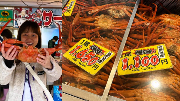 【短線特搜】曰本蟹季開鑼！飛去新潟富山產地狂食 每隻最平1,100日圓/ 3,000日圓包食蟹及競投見學(有片)