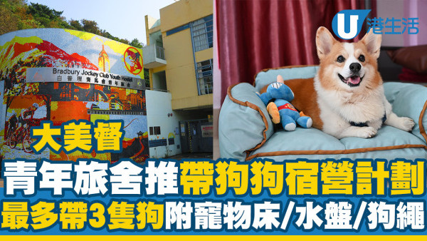 大美督青年旅舍推出帶狗狗宿營計劃　最多帶3隻狗！附寵物床／水盤／狗繩