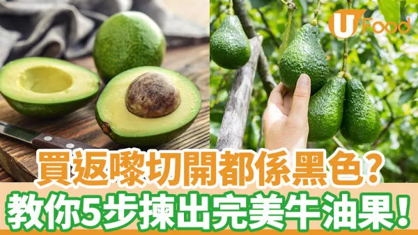 揀牛油果貼士｜買回來切開都是黑色？ 一文教你5步揀出完熟牛油果