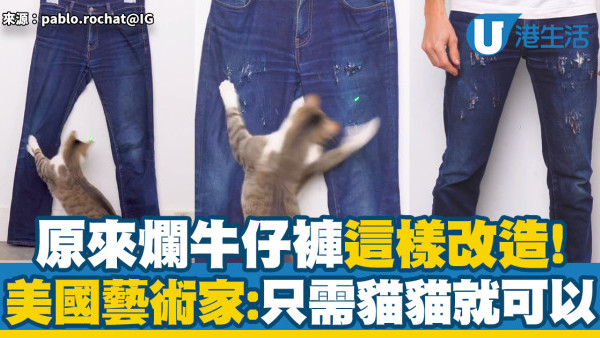 爛牛仔褲免費改造！美國藝術家靠貓咪製作潮物爛牛