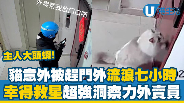 主人大頭蝦貓意外被趕門外七小時　幸得救星超強洞察力外賣員