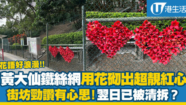 賞花打卡！黃大仙鐵絲網用花砌出超靚紅心 街坊勁讚有心思！翌日已被清拆？