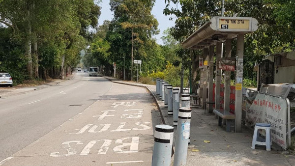 狠心主人｜司機沙頭角棄狗速逃 唐狗狂慘叫追車失蹤 小店$1萬酬金尋犬