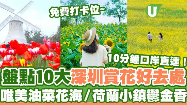 深圳賞花2026｜10大深圳賞花好去處  必睇油菜花海／荷蘭小鎮鬱金香／免費打卡位