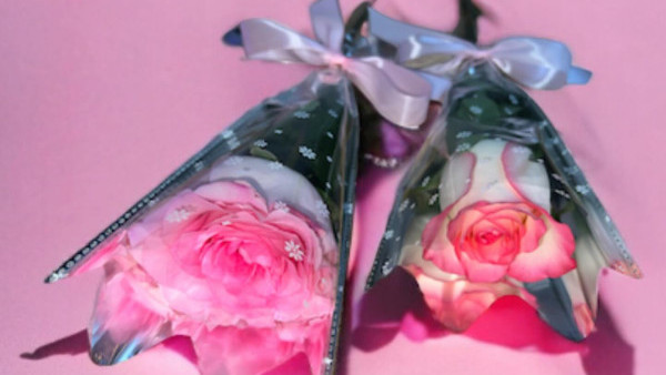 三八婦女節｜葵芳花店免費派鮮花！一連兩日 即睇派發地點+時間