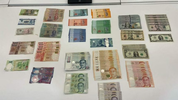 香港飛新加坡航班驚現飛機老鼠 男子偷約62萬港幣被捕落網 