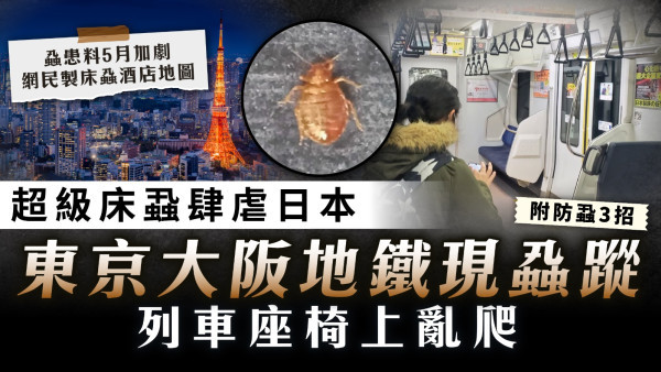 日本床蝨｜超級床蝨肆虐日本 東京大阪地鐵現蝨蹤 網民製床蝨酒店地圖【附防蝨3招】
