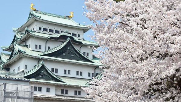名古屋櫻花｜賞櫻攻略3條路線推薦！沿途遊覽9大人氣景點 附路線圖