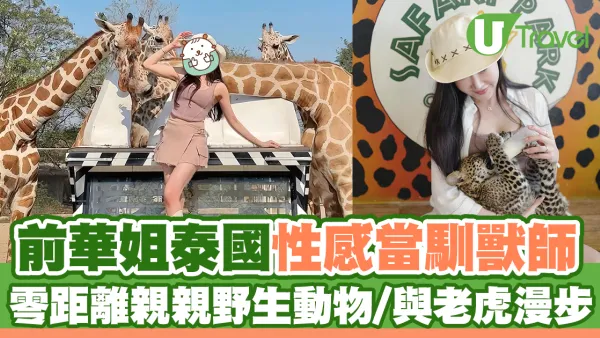 前華姐泰國性感當馴獸師 零距離親親野生動物/與老虎漫步森林