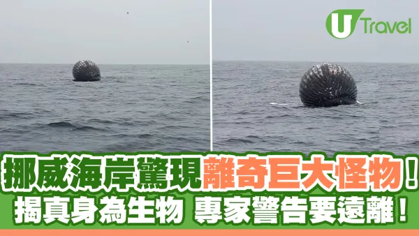 挪威海岸驚現離奇巨大圓形怪物！揭真身為生物警告要遠離！
