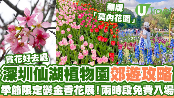 深圳仙湖植物園郊遊攻略 季節限定金黃落羽杉林打卡必去！兩時段免費入場