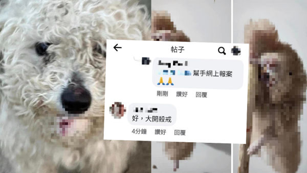 黑心狂徒直播虐殺動物 倉鼠慘遭狠掟落地 揚言「鬧一句殺一隻」