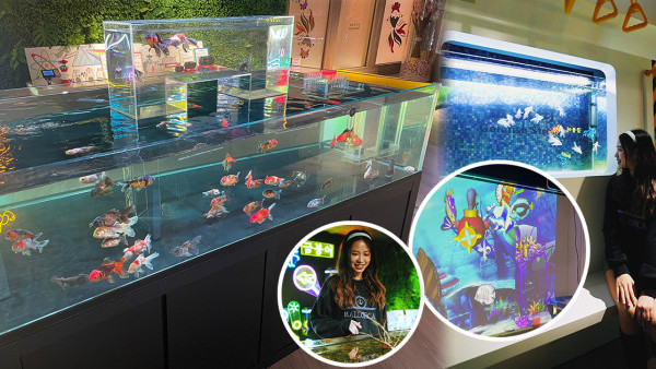 親子好去處｜全港首間金魚探索館！特色魚缸親親金魚/攤位遊戲/科學實驗
