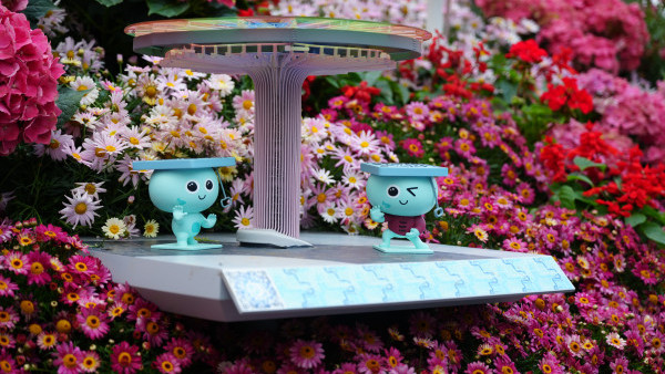 香港花卉展閉幕 康文署免費派發3000盆鮮花！即睇領取地點+時間