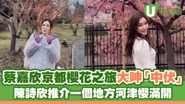蔡嘉欣京都櫻花之旅大呻「中伏」 陳詩欣推介一個地方河津櫻滿開