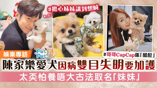 陳家樂愛犬因病雙目失明要加護 太奀怕養唔大古法取名「妹妹」