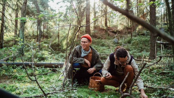 芬蘭開班分享幸福秘訣！免費5日遊首都赫爾辛基！即睇參加方法