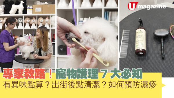 家居達人｜專家教路！寵物護理 7 大必知 有異味點算？出街後點清潔？如何預防濕疹