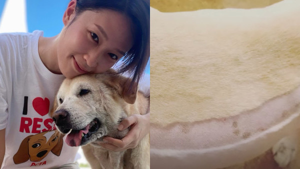 逆天奇案2丨蔣祖曼親為愛犬剃毛迎接夏天 錯手令肚腩現巨坑：原諒我