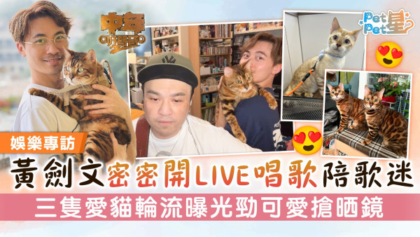 中年好聲音2丨黃劍文密密開LIVE唱歌陪歌迷 三隻愛貓輪流曝光勁可愛搶晒鏡
