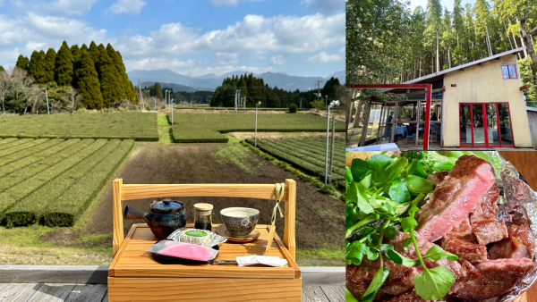 鹿兒島5大食買玩景點 | 百年黑毛和牛店直營餐廳、茶園第一排景觀賞茶、隱秘森林玻璃屋