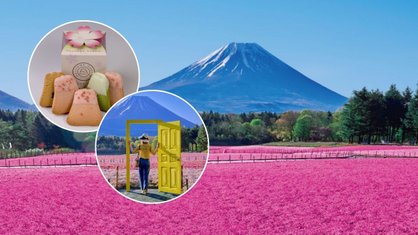河口湖「富士芝櫻祭」50萬株芝櫻花海！設特色打卡位+小食 附訂購連結