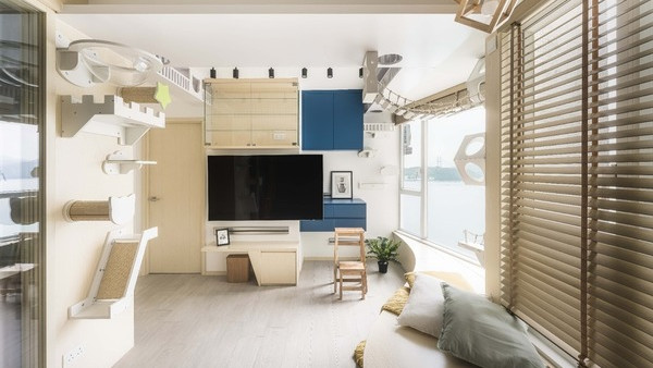 寵物家居｜90後貓奴$96萬改造貓樂園 全屋爬架吊橋走道自由穿梭