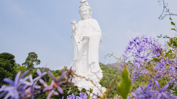 慈山寺開放日2024｜慈山寺佛誕期間設3日公眾免費開放日！(附預約方式/前往方法）