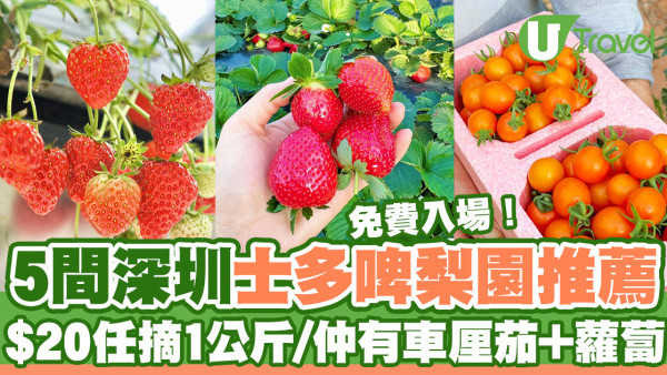 深圳士多啤梨園2025｜5間深圳摘士多啤梨推薦  免費入場！$20起任摘1公斤超甜車厘茄/蘿蔔