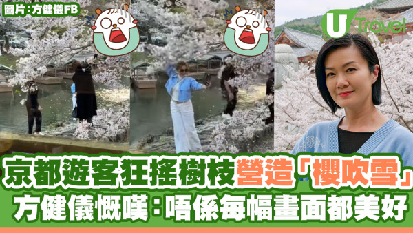 京都遊客狂搖樹枝營造「櫻吹雪」  方健儀慨嘆：唔係每幅畫面都美好