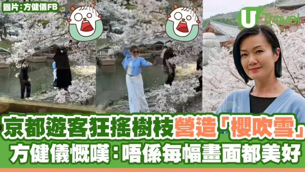京都遊客狂搖樹枝營造「櫻吹雪」  方健儀慨嘆：唔係每幅畫面都美好