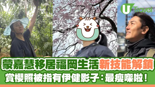 蒙嘉慧移居福岡生活新技能解鎖 賞櫻照被指有伊健影子：最瘦㗎啦！