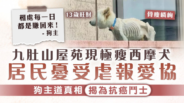虐狗疑雲｜九肚山屋苑現極瘦西摩犬 居民憂受虐報愛協 狗主道真相揭為抗癌鬥士